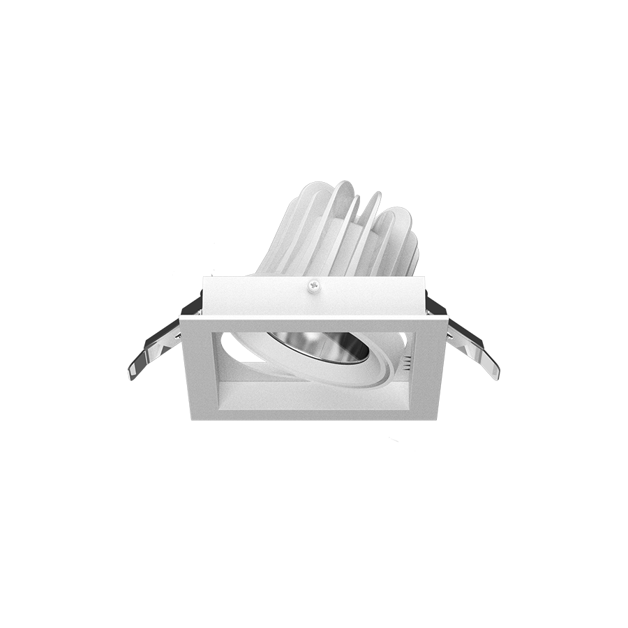 G1011 Product