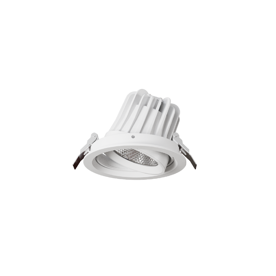 G1010 Product
